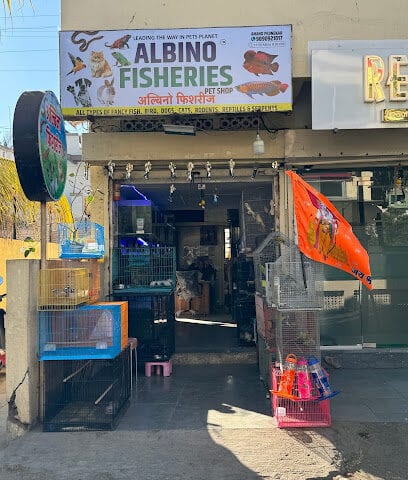 Albino Fisheries Pet Shop