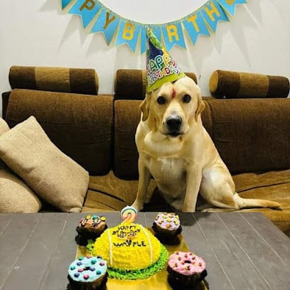 Barking Bites Pet Bakery