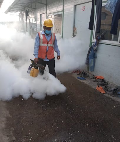 Thote pest control service