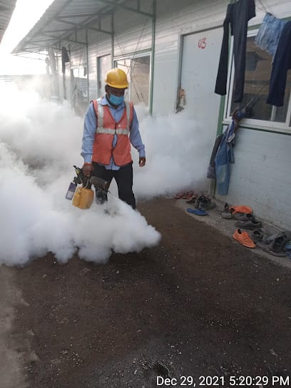 Thote pest control service
