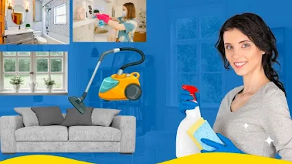 Professional Cleaning Services